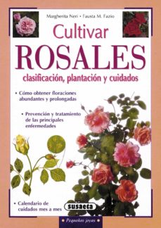 Cultivar rosales: clasificacion, plantacion y cuidados