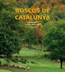 Boscos de catalunya (ed. trilingÜe catalan-castellano-ingles) (edición en catalán)