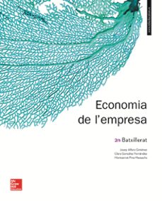 Economia de l empresa 2º batxillerat