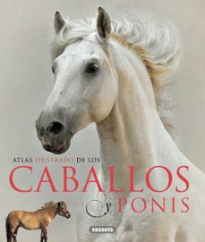 Caballos y ponis