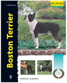 Boston terrier (excellence: razas de hoy)